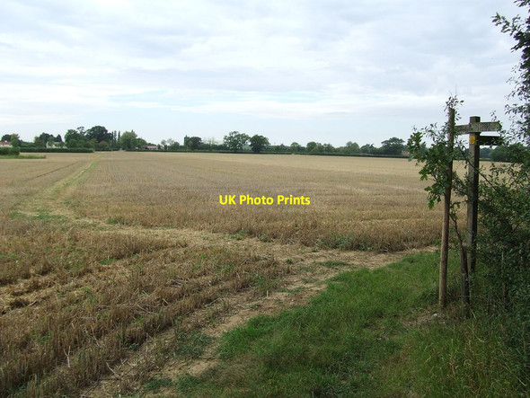 Photo 6"x4" Footpath Junction Ringshall Stocks c2011
