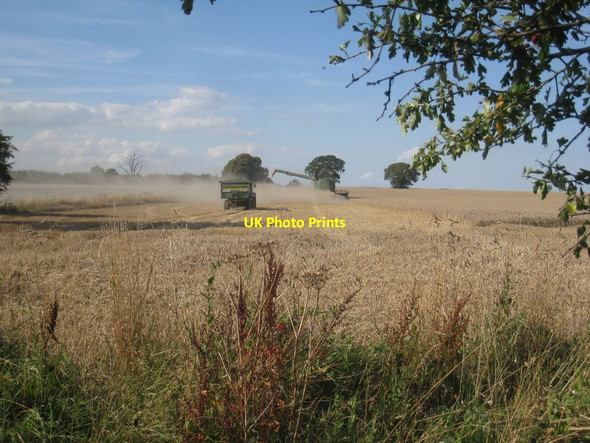 Photo 6"x4" Harvest near Ulceby Habrough c2011