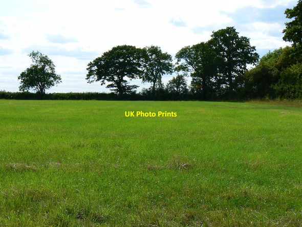 Photo 6"x4" Across a field south of Leigh Hillside\/SU0692 c2011