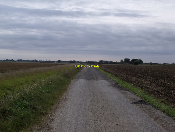 Photo 6"x4" Track to Walks Farm Howell c2011