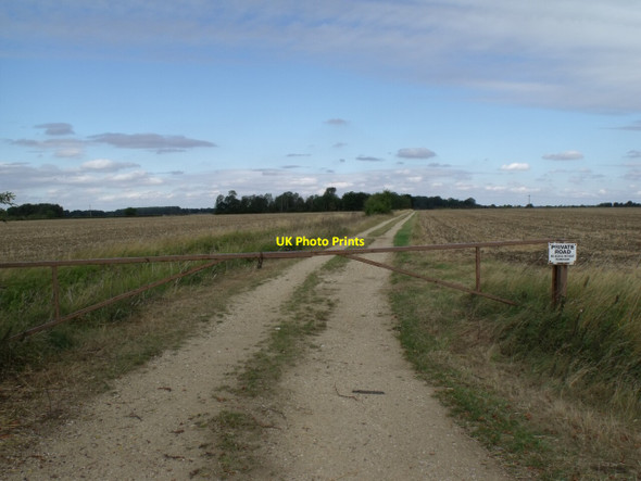 Photo 6"x4" Track to Ash Holt Ewerby Thorpe c2011