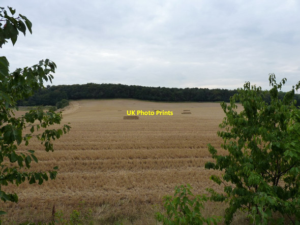 Photo 6"x4" Wheat stubble in a field near Rudge Rudge\/SO8197 c2011