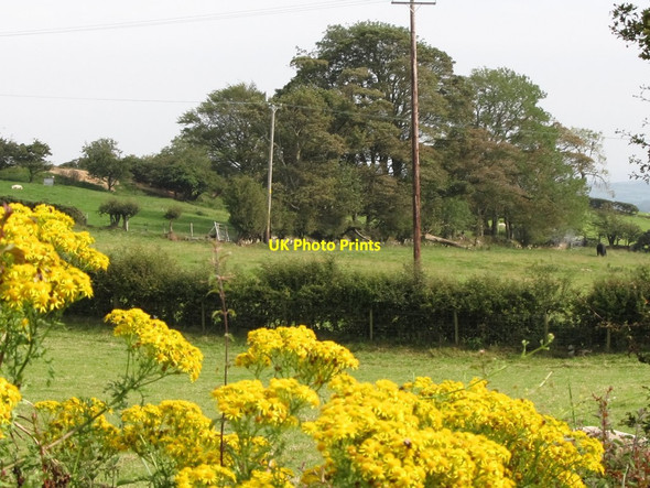 Photo 6"x4" A Rath east of Ballywillwill Road Annsborough c2011
