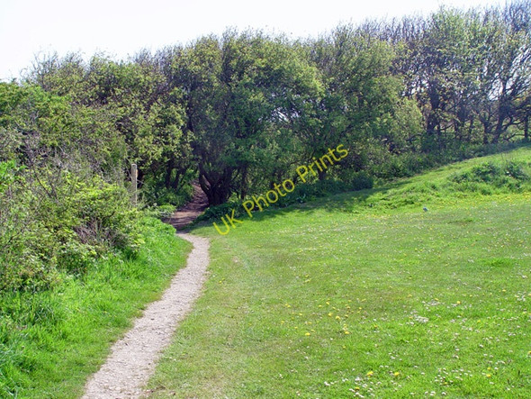 Photo 6"x4" The Cleveland Way above Black Rocks, Scarborough Scarborough\/TA0388 c2008