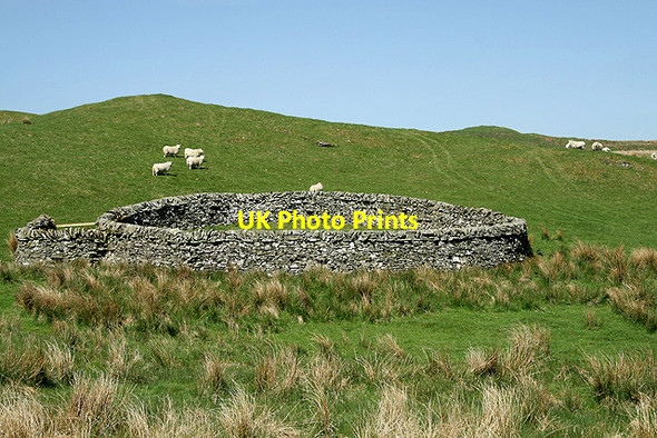 Photo 6"x4" A sheepfold at Black Cleuch Boreland\/NY1791 c2008