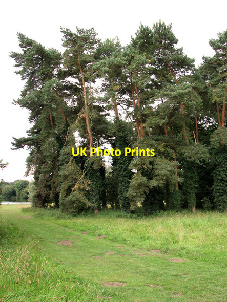 Photo 6"x4" University of East Anglia, Norwich Colney c2011 P1