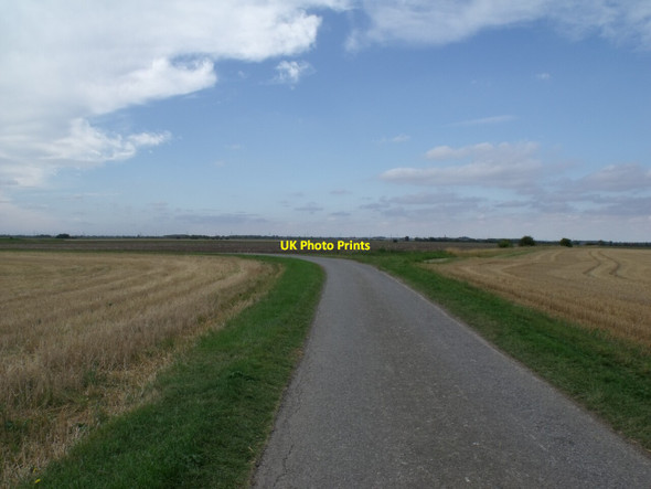 Photo 6"x4" Cow Drove near South Kyme South Kyme c2011