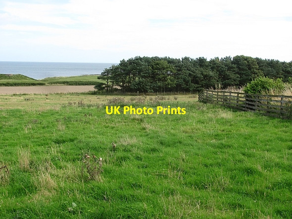 Photo 6"x4" Field, Dunstan Steads Embleton\/NU2322 c2011