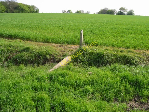 Photo 6"x4" Route of the Stour Valley Walk across the fields Willesborough Lees c2008