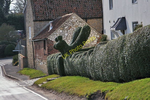 Photo 6"x4" Topiary in Little Weighton Little Weighton c2008