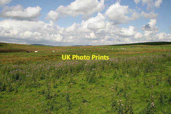 Photo 6"x4" Hill farmland to the south of Great Hill Boreland\/NY1791 c2011