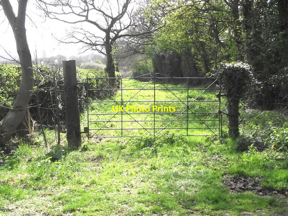 Photo 6"x4" Old Gate Congleton c2011