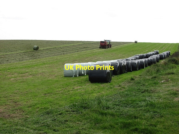 Photo 6"x4" Silage baling Howick\/NU2517 c2011
