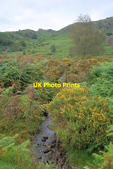 Photo 6"x4" Cinderhill Beck Broughton Mills c2011