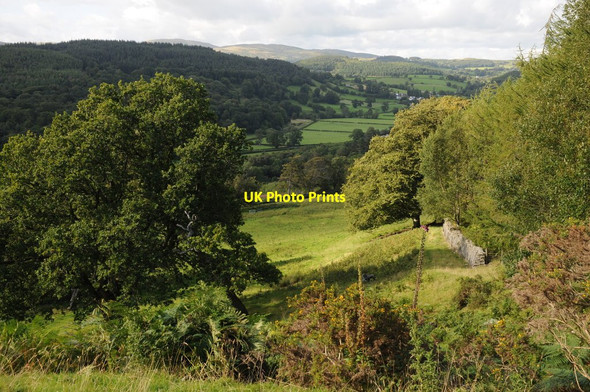Photo 6"x4" The Dee valley Llandderfel c2011