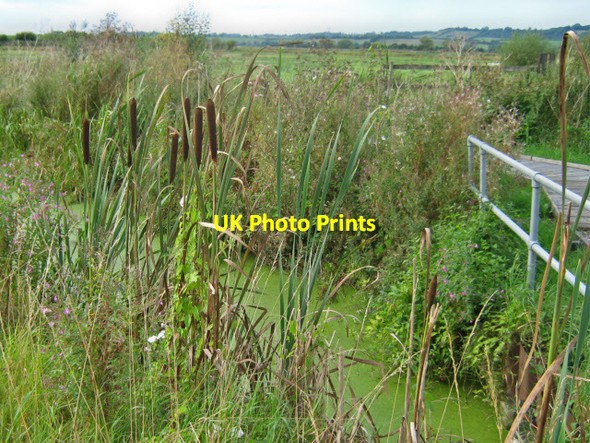 Photo 6"x4" Greylake RSPB nature reserve Greylake c2011 P1