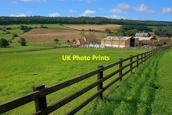 Photo 6"x4" Hardwick Farm Harwood Dale c2011