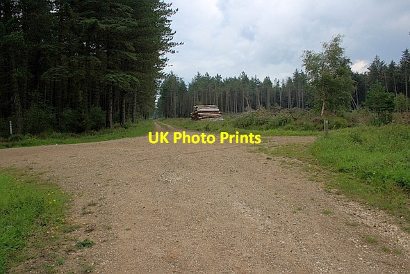 Photo 6"x4" Track Junction, Standingstones Rigg Harwood Dale c2011