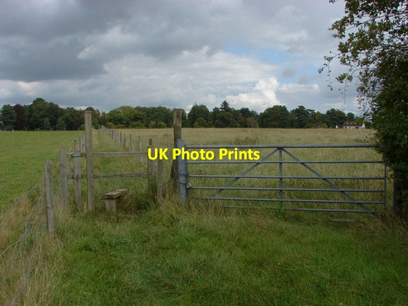 Photo 6"x4" Footpath, Sutton Green Prey Heath c2011