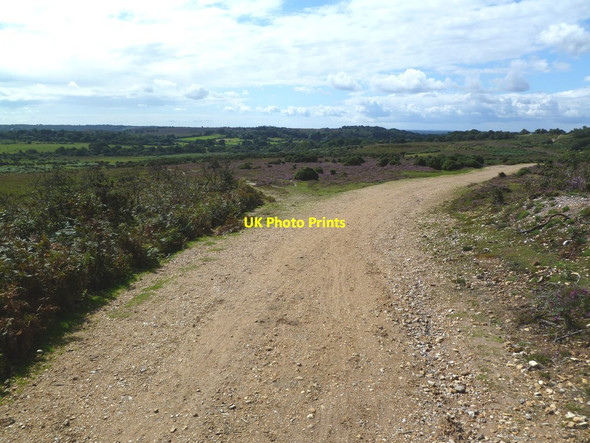 Photo 6"x4" Hampton Ridge, track junction Blissford c2011