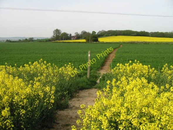 Photo 6"x4" The Stour Valley Walk, looking in the direction of Wye Willesborough Lees c2008