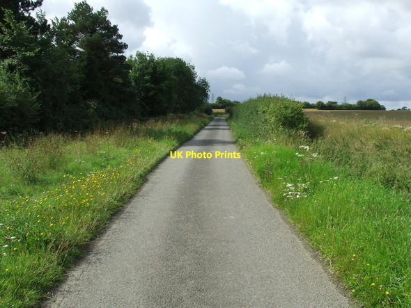 Photo 6"x4" Baby Lane Hightown Green c2011