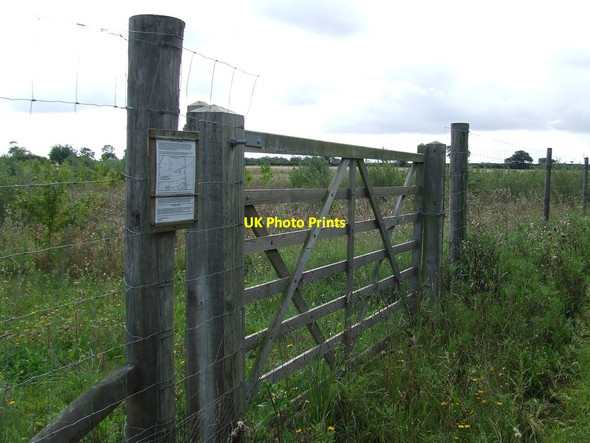 Photo 6"x4" New Trees To be Known As Kings Wood Hightown Green c2011