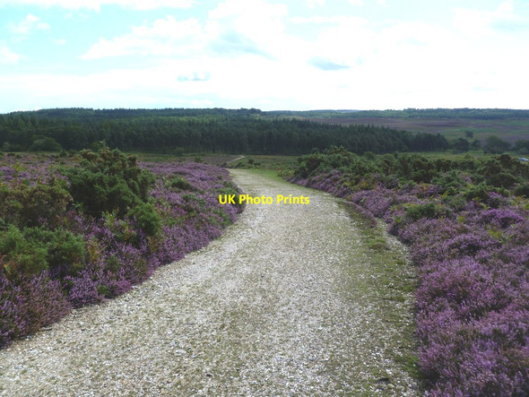Photo 6"x4" Hampton Ridge, track Ogdens c2011