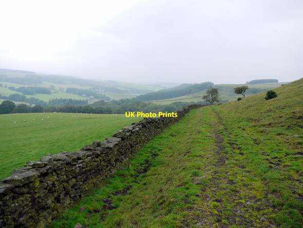 Photo 6"x4" Old track to Backstone Bank Upper Town\/NZ0737 c2011