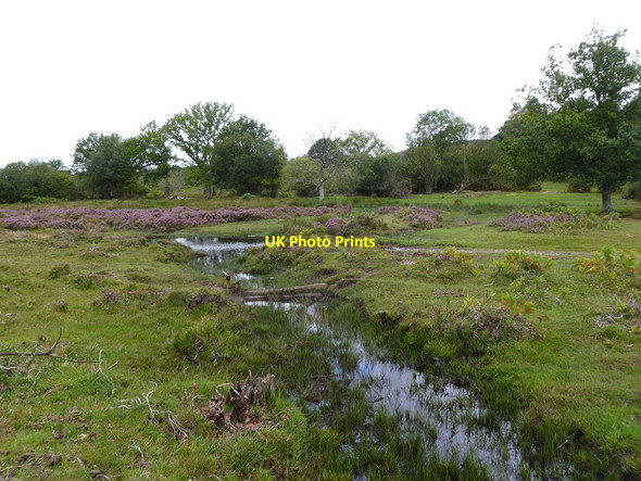 Photo 6"x4" Ogdens, tributary Ogdens c2011