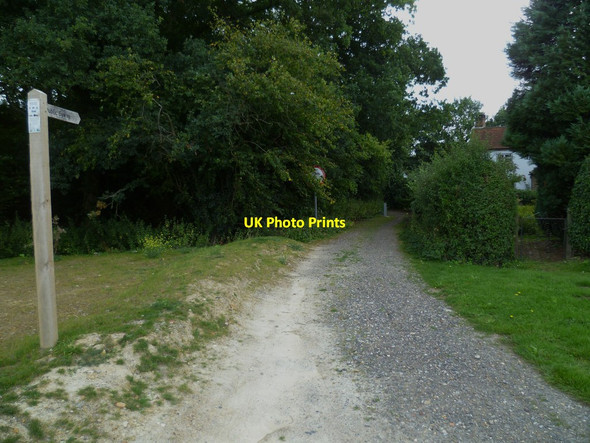 Photo 6"x4" The west end of Lion's Lane Alfold Crossways c2011
