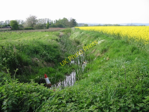Photo 6"x4" Looking NW along a ditch from corner of Blackwall Road Willesborough Lees c2008