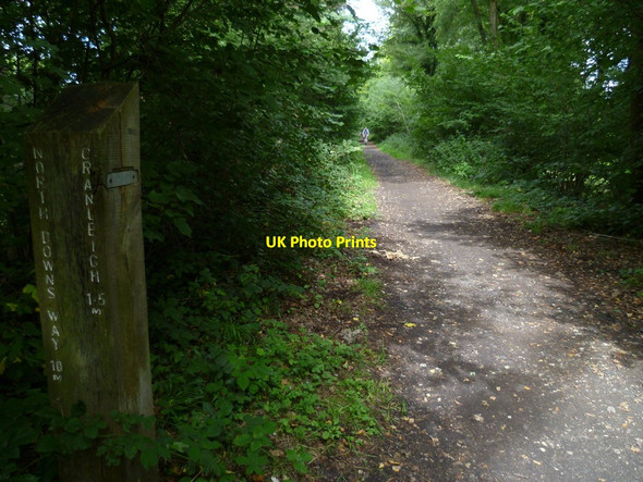 Photo 6"x4" Marker post on the Downs Link Cranleigh c2011