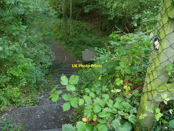 Photo 6"x4" Footpath leading west off the Downs Link Cranleigh c2011