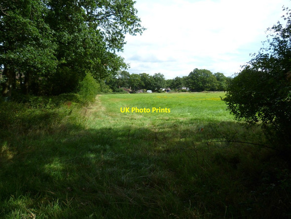 Photo 6"x4" Field south of Cranleigh Cranleigh c2011