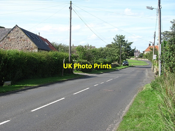 Photo 6"x4" South End Longhoughton c2011