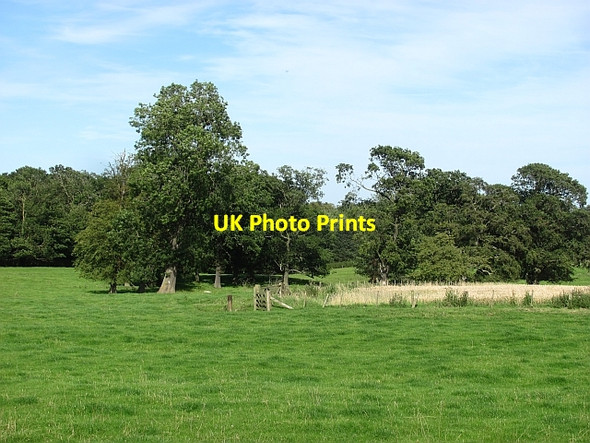 Photo 6"x4" Parkland, Howick Hall Howick\/NU2517 c2011