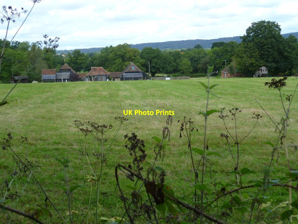 Photo 6"x4" Field view west of Cranleigh Cranleigh c2011
