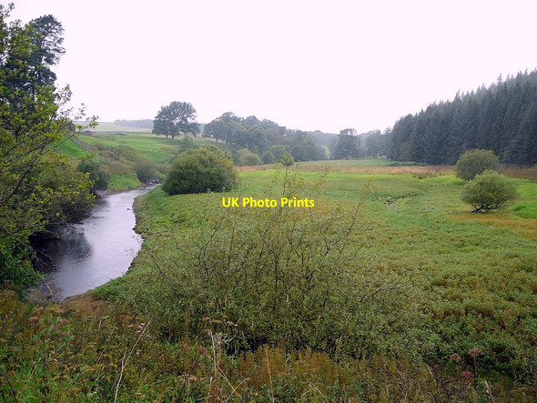 Photo 6"x4" Tunstall Nature Reserve Tunstall Reservoir c2011