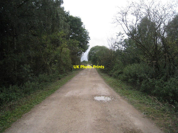 Photo 6"x4" Lincoln Lane Fenton\/SK8476 c2011