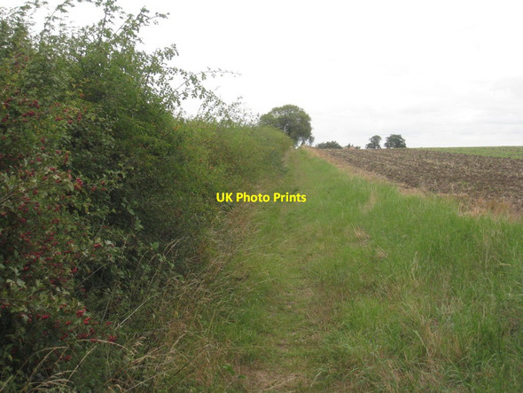 Photo 6"x4" Bridleway to Swinderby Road Swinderby c2011