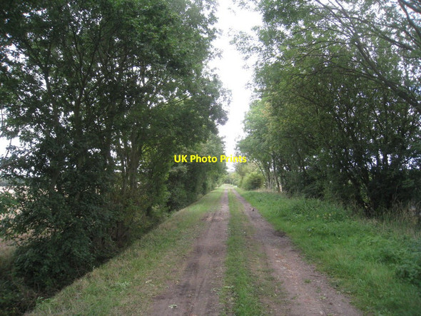 Photo 6"x4" South Scaffold Lane Collingham\/SK8361 c2011