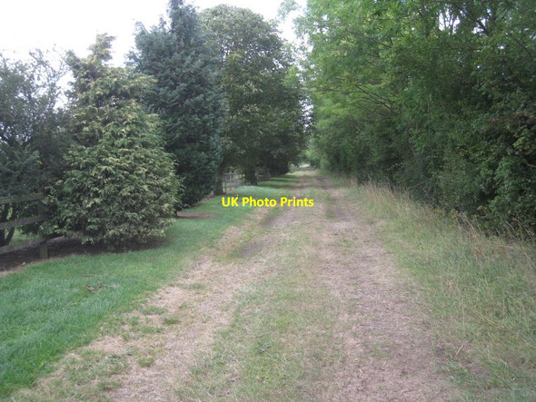 Photo 6"x4" South Scaffold Lane Collingham\/SK8361 c2011