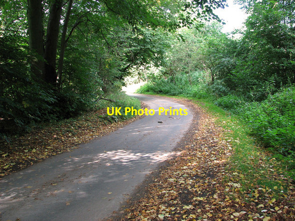 Photo 6"x4" Approaching Bradmoor Hill, Narford West Acre c2011