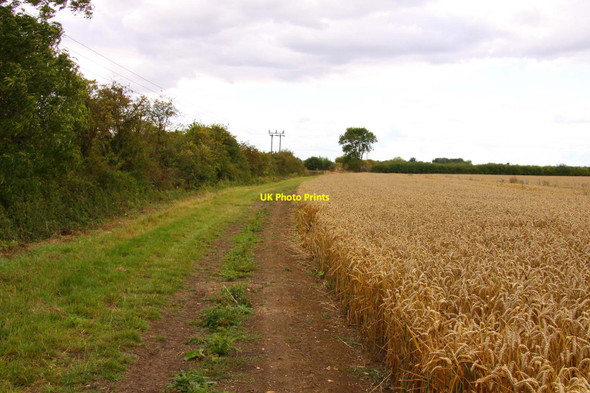 Photo 6"x4" Bridleway to Ardington Drayton\/SU4794 c2011