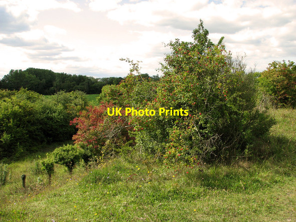 Photo 6"x4" Old railway embankment, Narborough Narborough\/TF7412 c2011