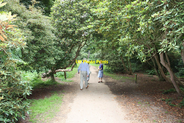Photo 6"x4" Sheringham Park Sheringham c2011 P2