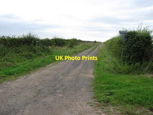 Photo 6"x4" Farm track Newham\/NU1728 c2011
