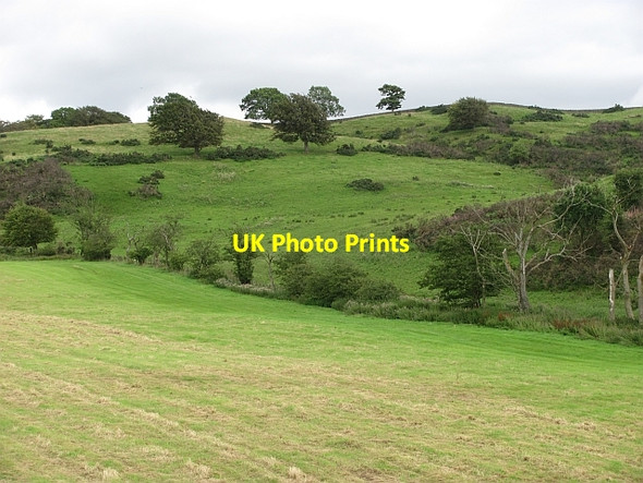 Photo 6"x4" Hillside, Carribber Loan\/NS9575 c2011