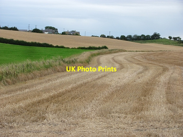 Photo 6"x4" Stubble, Newham Newham\/NU1728 c2011